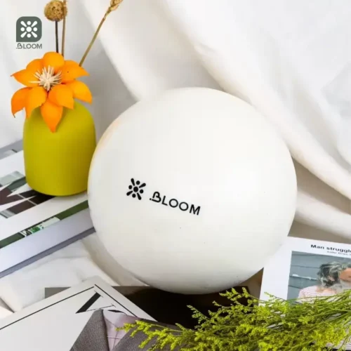 BLOOM 20 Cm Mini Updated Yoga Ball Kiçik Pilates Topu - Image 5