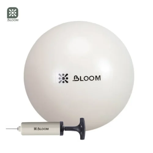 BLOOM 20 Cm Mini Updated Yoga Ball Kiçik Pilates Topu - Image 3