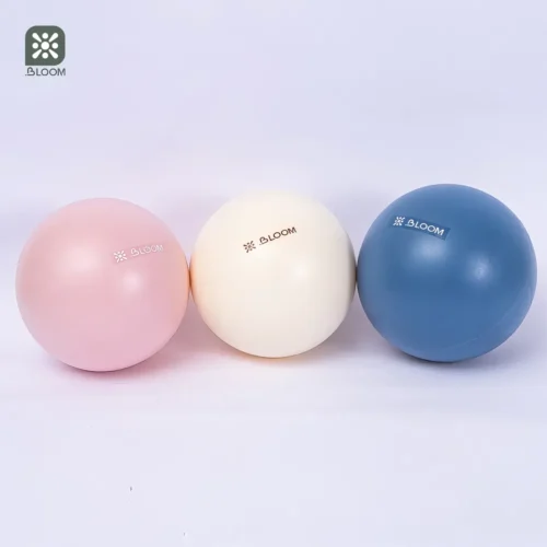BLOOM 20 Cm Mini Updated Yoga Ball Kiçik Pilates Topu - Image 2