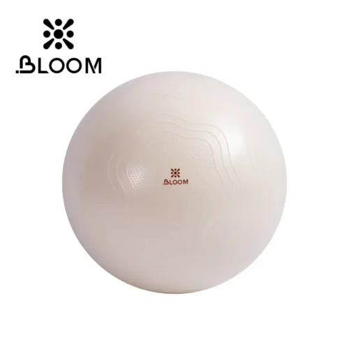Bloom Anti Burst Yoga Ball 65 Sm Pilates Topu - Image 2