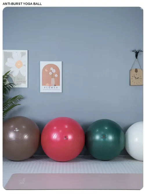 Bloom Anti Burst Yoga Ball 65 Sm Pilates Topu - Image 6