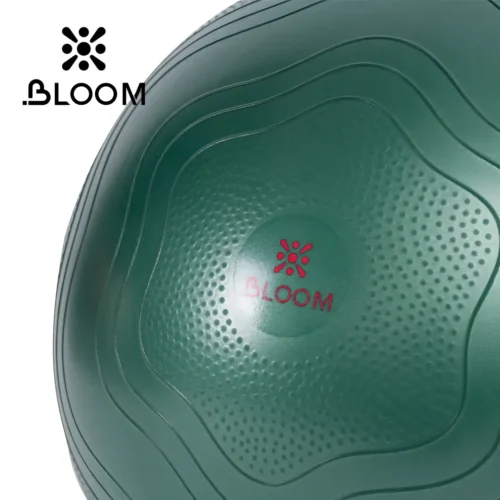 Bloom Anti Burst Yoga Ball 65 Sm Pilates Topu - Image 7