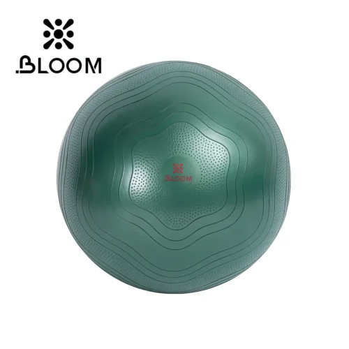 Bloom Anti Burst Yoga Ball 65 Sm Pilates Topu - Image 5