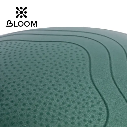 Bloom Anti Burst Yoga Ball 65 Sm Pilates Topu - Image 9