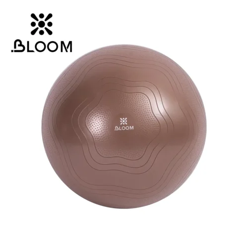 Bloom Anti Burst Yoga Ball 65 Sm Pilates Topu - Image 3