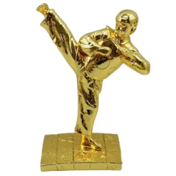Trophy Taekwondo Taekvondoçu Kuboku