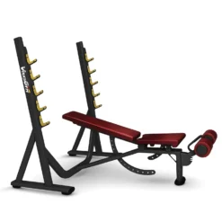 Volksgym VG-031-WB Weight Lifting Bench Skamya