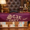 Star Premium Okey (Türk Dominosu) - Image 2