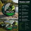 TRIADA CARP Balıqçılıq Misinasi
