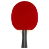 STIGA Allround Future System FL Table Tennis Stolüstü Tennis Raketi - Image 4