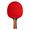 Stiga Vision 4-Star Table Tennis Stolüstü Tennis Raketi - Image 3