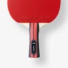 Team Butterfly Champion Table Tennis Stolüstü Tennis Raketi - Image 3